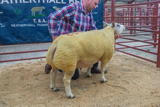 Lot 152 Sold for £1100 from A Taylor Heatheryhall